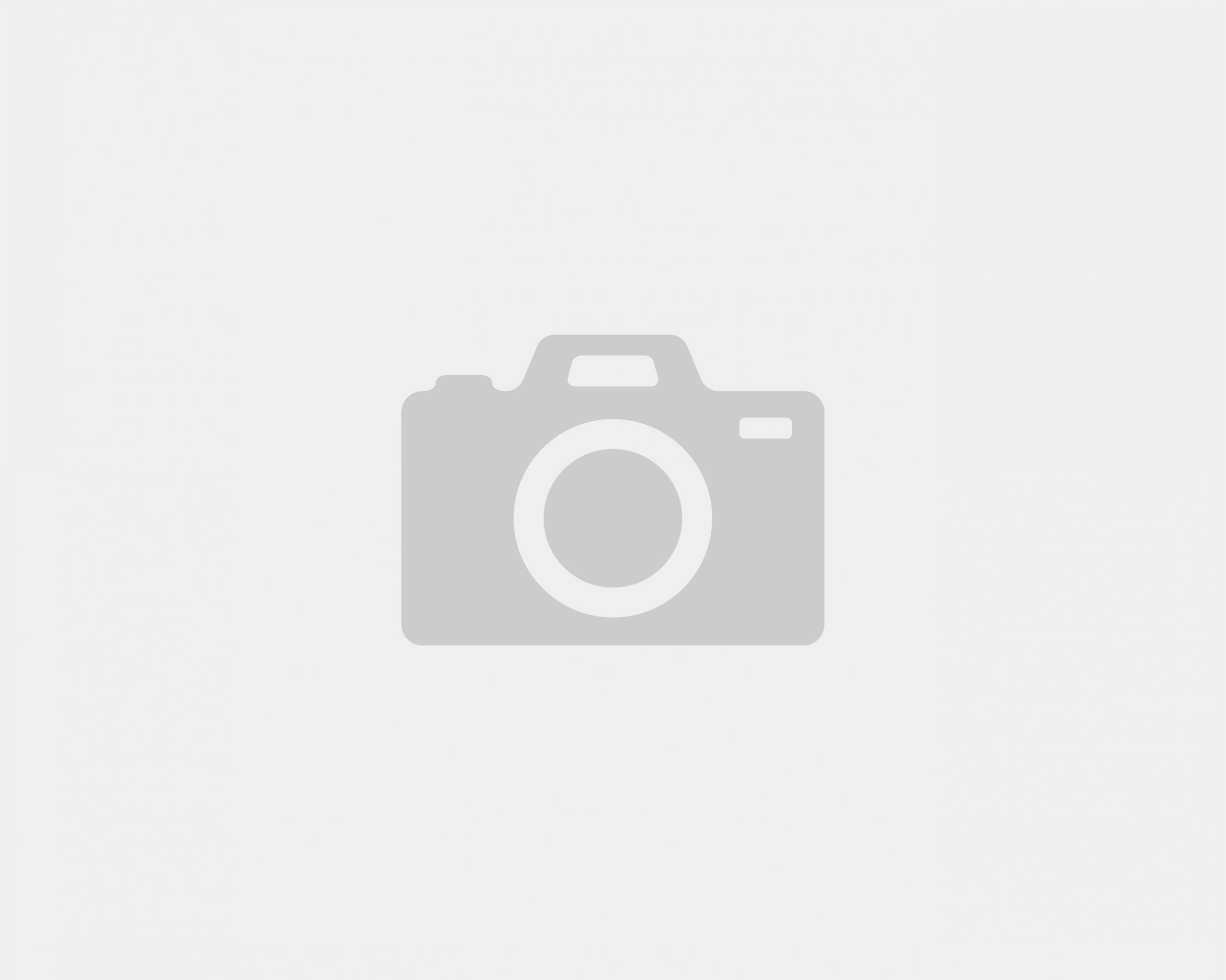 Image place holder with a gray camera icon for use when the actual image is not available