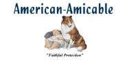 American Amicable